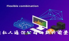区块链私人通信公司的新兴前景与挑战