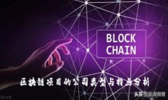 区块链项目的公司类型与特点分析