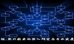 区块链：新兴技术的深入研究与专业发展方向