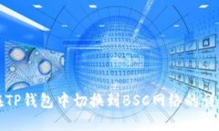 如何在TP钱包中切换到BSC网络的详细指南