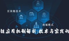 区块链应用机制解析：技术与实践的结合