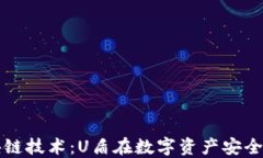 探索区块链技术：U盾在数字资产安全中的应用