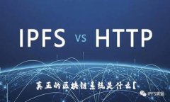 真正的区块链系统是什么？