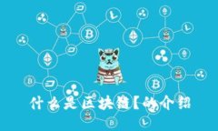 什么是区块链？的介绍