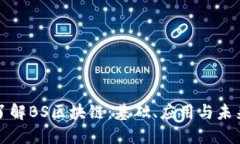 深入了解BS区块链：基础、应用与未来发展
