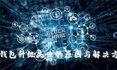 TP钱包升级失败的原因与解决方案