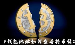 T P钱包地址如何查看持币情况