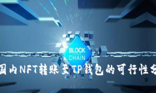 : 国内NFT转账至TP钱包的可行性分析
