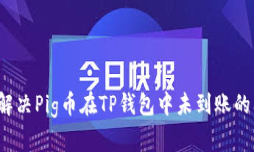 如何解决Pig币在TP钱包中未到账的问题？