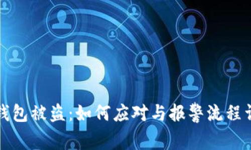 TP钱包被盗：如何应对与报警流程详解