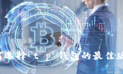 如何选择 t p 钱包的最佳版本？