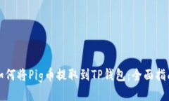 如何将Pig币提取到TP钱包：全面指南