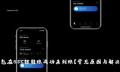 TP钱包在BSC链转账成功未到账？常见原因与解决方