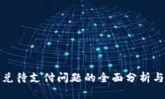 TP钱包闪兑待支付问题的全面分析与解决方案