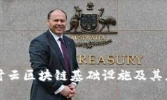 深入探讨云区块链基础设施及其应用前景