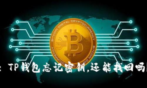 : TP钱包忘记密钥，还能找回吗？