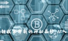 揭开区块链技术分析的神秘面纱：从入门到精通