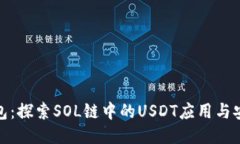 TP钱包：探索SOL链中的USDT应用与安全性