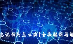 bibaviTP钱包忘记钥匙怎么办？全面解析与解决方案