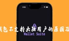  解析TP钱包不支持大陆用户的原因及解决方案