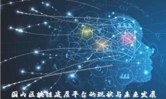 国内区块链底层平台的现状与未来发展