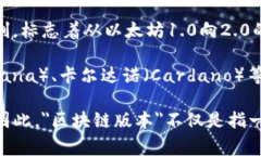 区块链技术日新月异，目前没有统一的“版本”