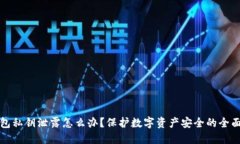 TP钱包私钥泄露怎么办？保护数字资产安全的全面