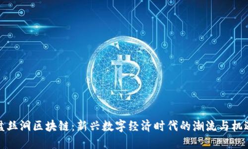 盘丝洞区块链：新兴数字经济时代的潮流与机遇