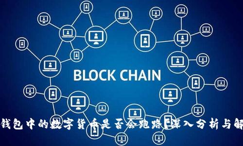 TP钱包中的数字货币是否会跑路？深入分析与解答