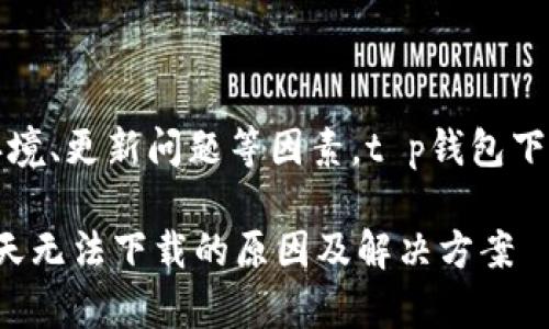 由于网络环境、更新问题等因素，t p钱包下载问题解析

t p钱包今天无法下载的原因及解决方案