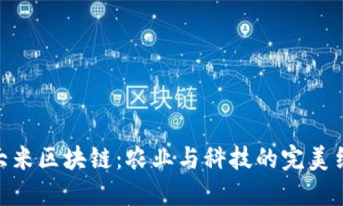 : 大米区块链：农业与科技的完美结合
