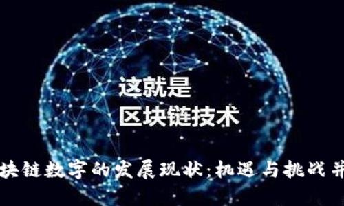 区块链数字的发展现状：机遇与挑战并存