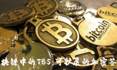   
解密区块链中的TBS：可扩展的加密签名机制