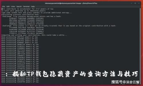 : 揭秘TP钱包隐藏资产的查询方法与技巧