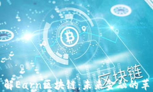 
深入了解Earn区块链：未来金融的革新之路