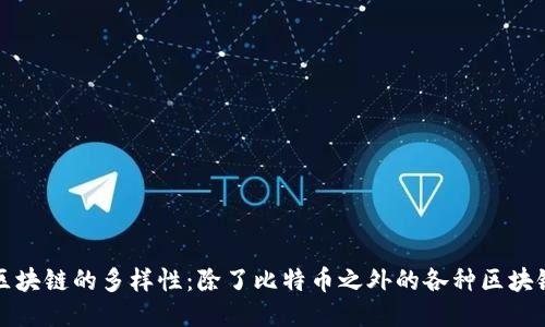 探索区块链的多样性：除了比特币之外的各种区块链类型