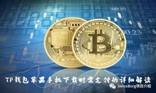 TP钱包苹果手机下载时需支付的详细解读