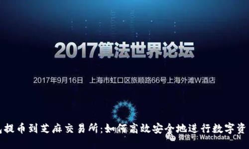 TP钱包提币到芝麻交易所：如何高效安全地进行数字资产转移
