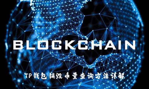 TP钱包销毁币量查询方法详解