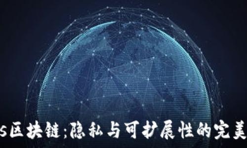   
Oasis区块链：隐私与可扩展性的完美结合