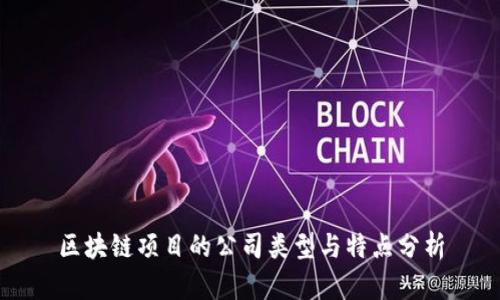 区块链项目的公司类型与特点分析