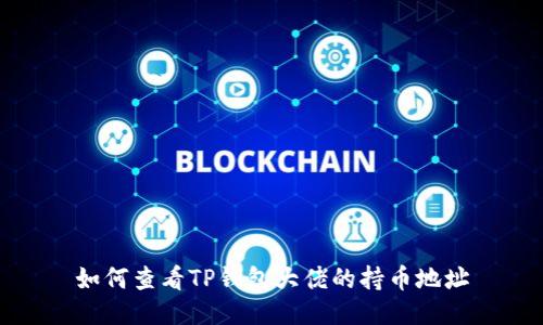 如何查看TP钱包大佬的持币地址