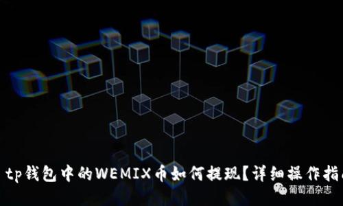 : tp钱包中的WEMIX币如何提现？详细操作指南