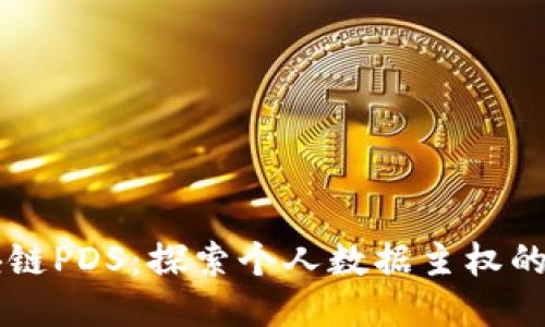 区块链PDS：探索个人数据主权的未来