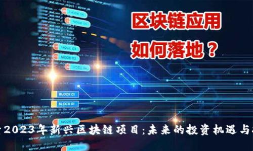 探索2023年新兴区块链项目：未来的投资机遇与挑战