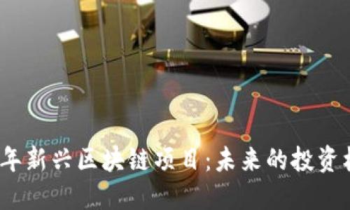 探索2023年新兴区块链项目：未来的投资机遇与挑战