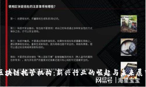 区块链托管机构：新兴行业的崛起与未来展望