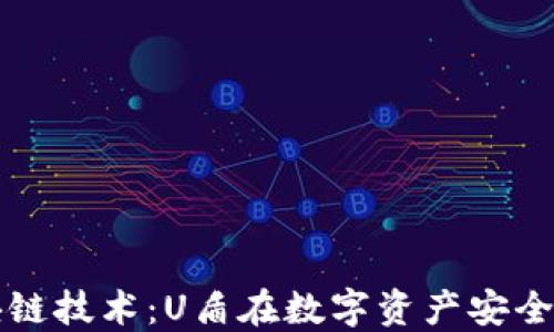 
探索区块链技术：U盾在数字资产安全中的应用