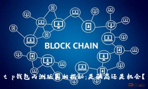 t p钱包内测版真相揭秘：是骗局还是机会？