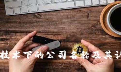 区块链技术下的公司名称及其认可标准